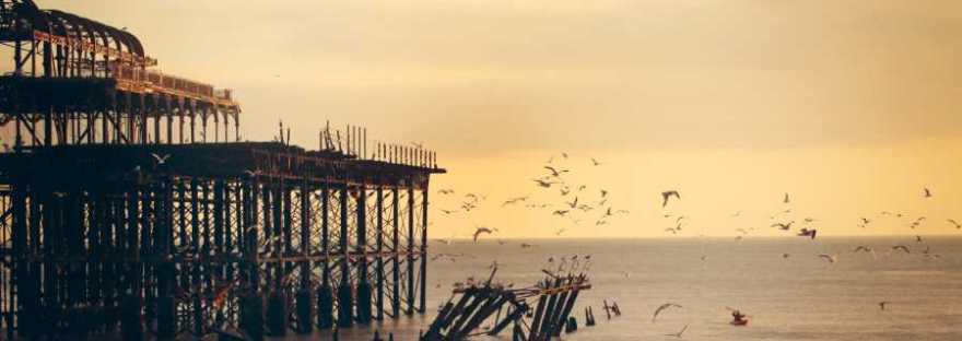 flock of birds flying from a disused pier over water in low sunlight